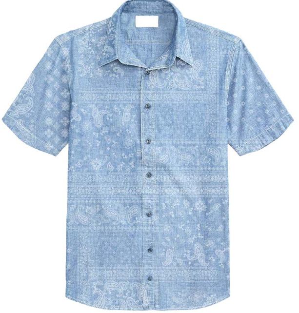 Shirt Chambray Print WINGDANA Light Denim