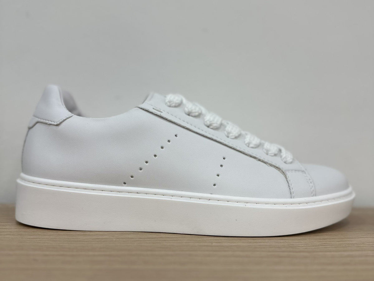Sneakers ALEX