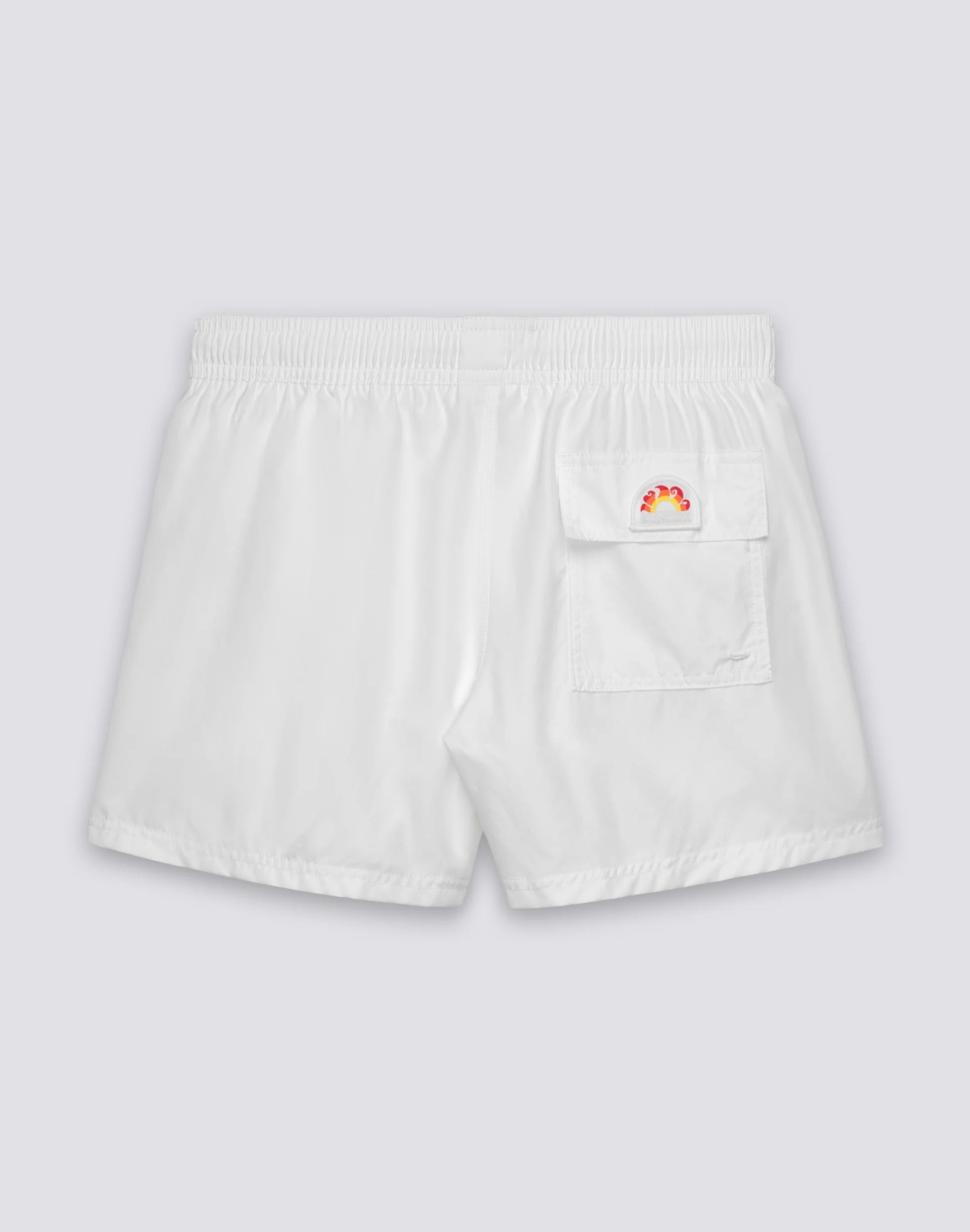 Boxer Mare
