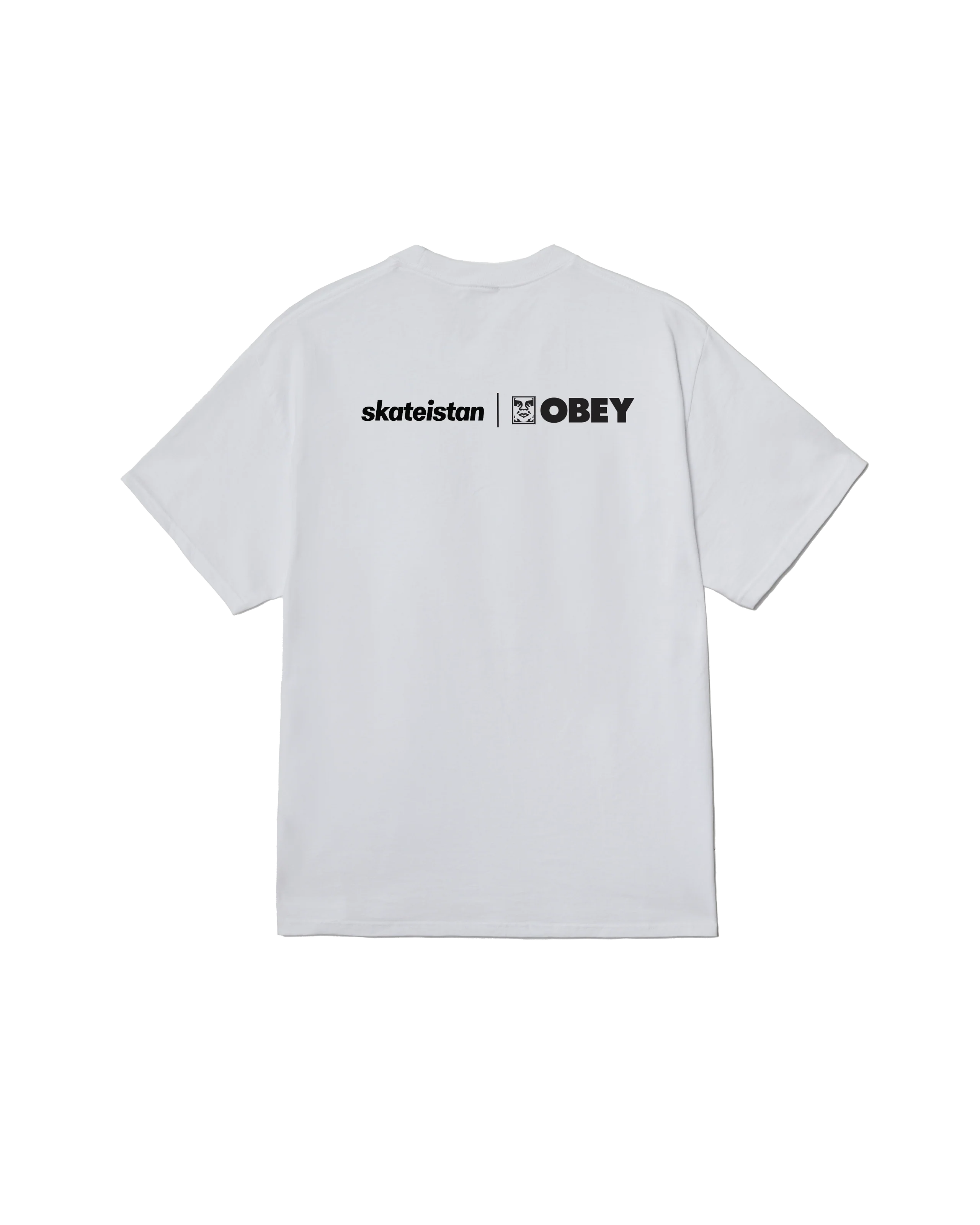T-shirt SKATEISTAN / OBEY PHOTO TEE